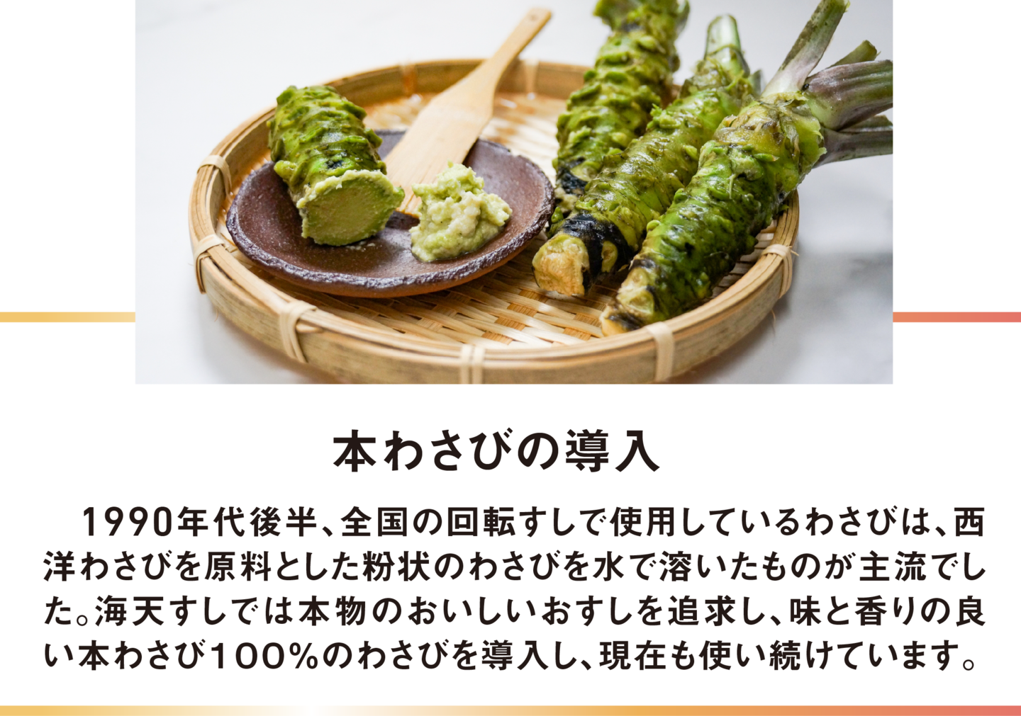本わさびの導入