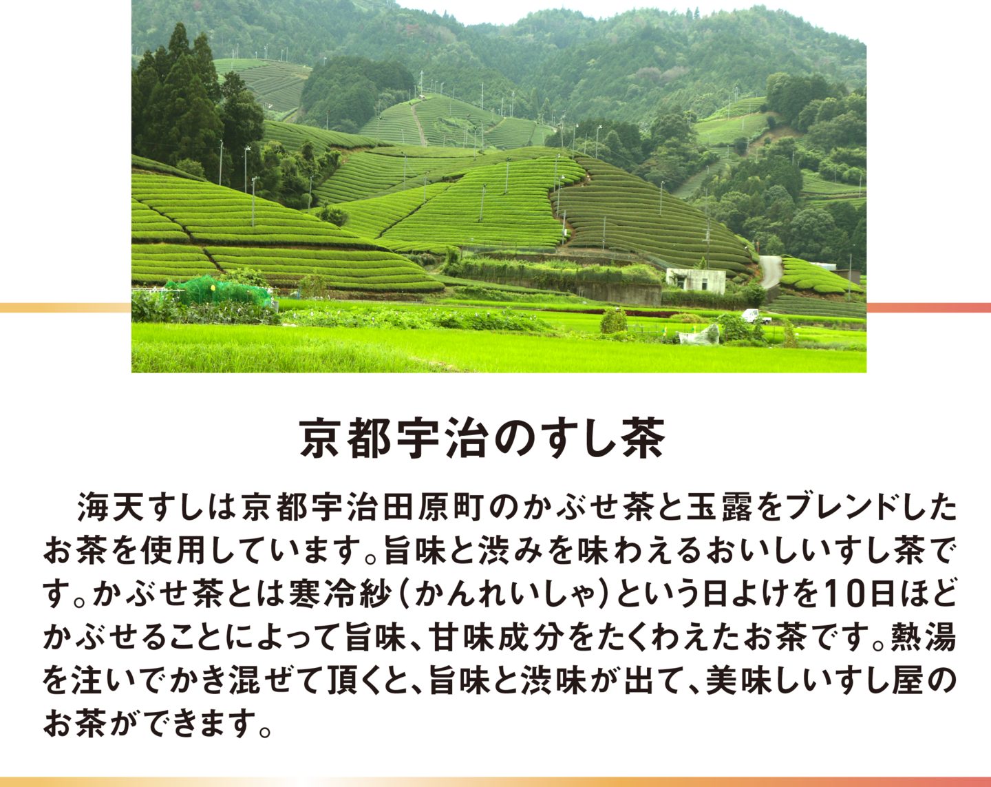 京都宇治のすし茶